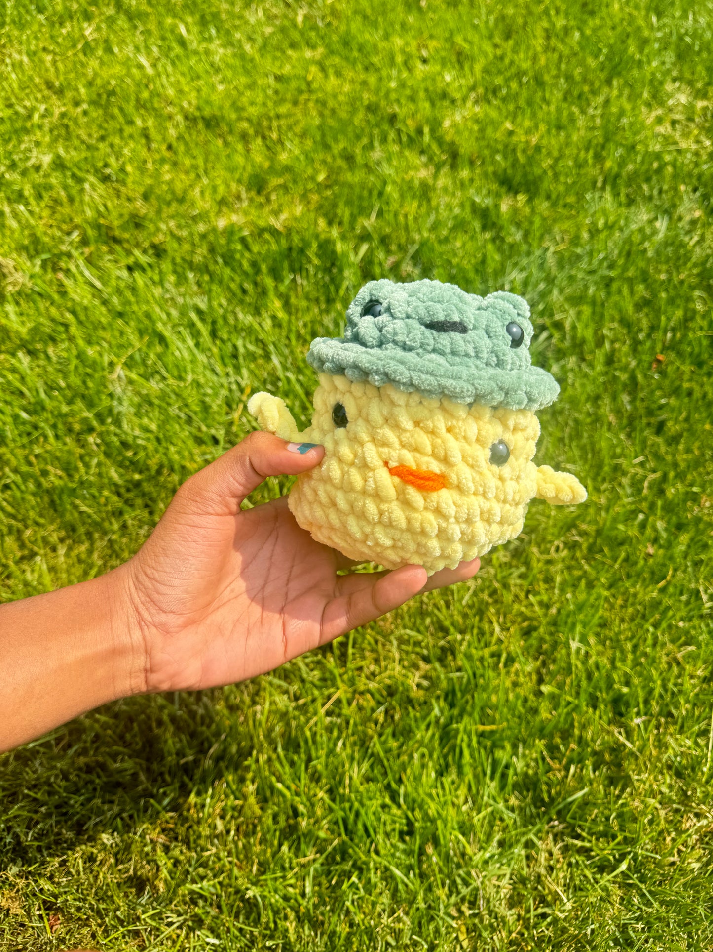 Duck in Frog Hat