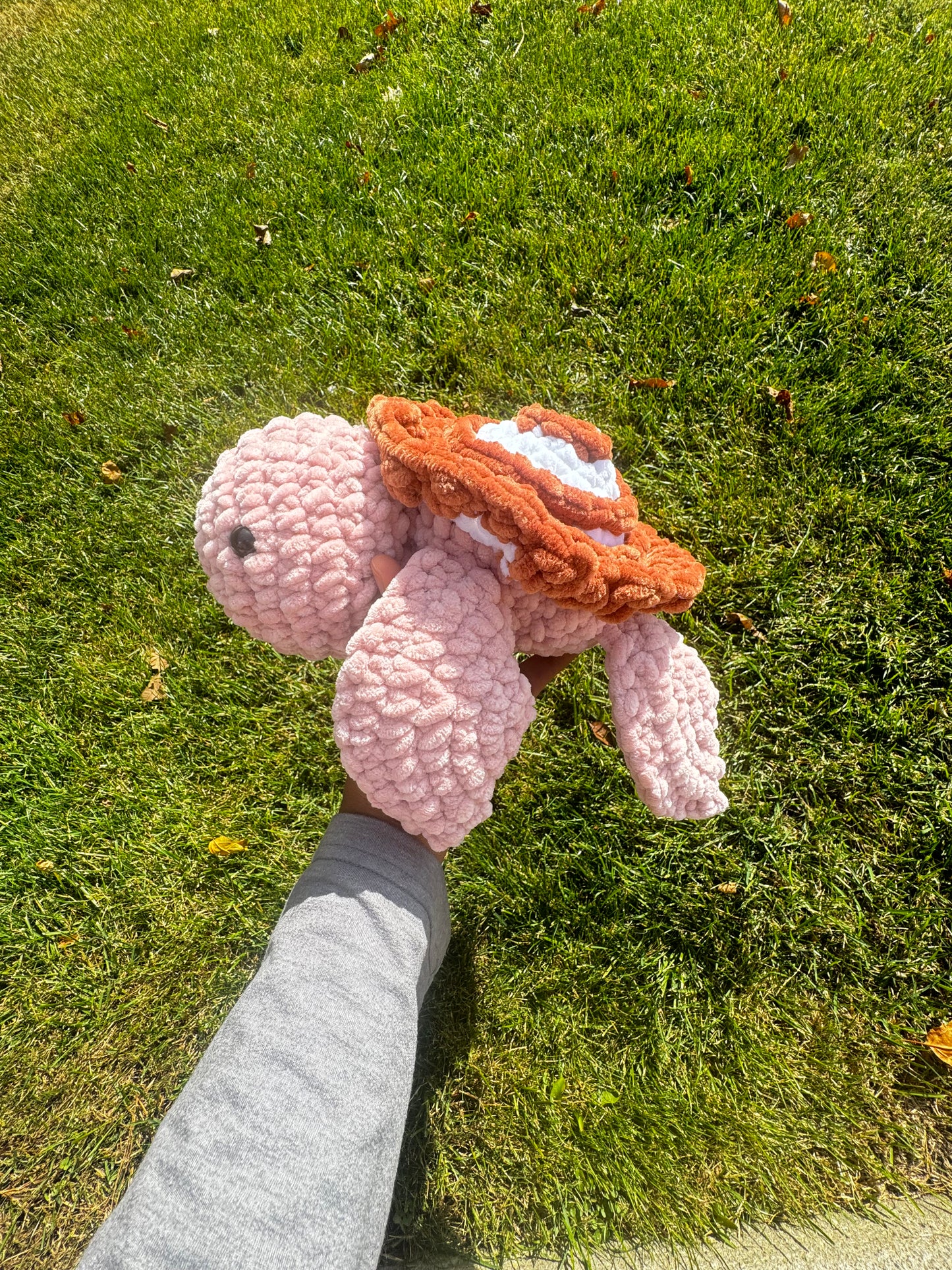 Cinnamonroll Turtle