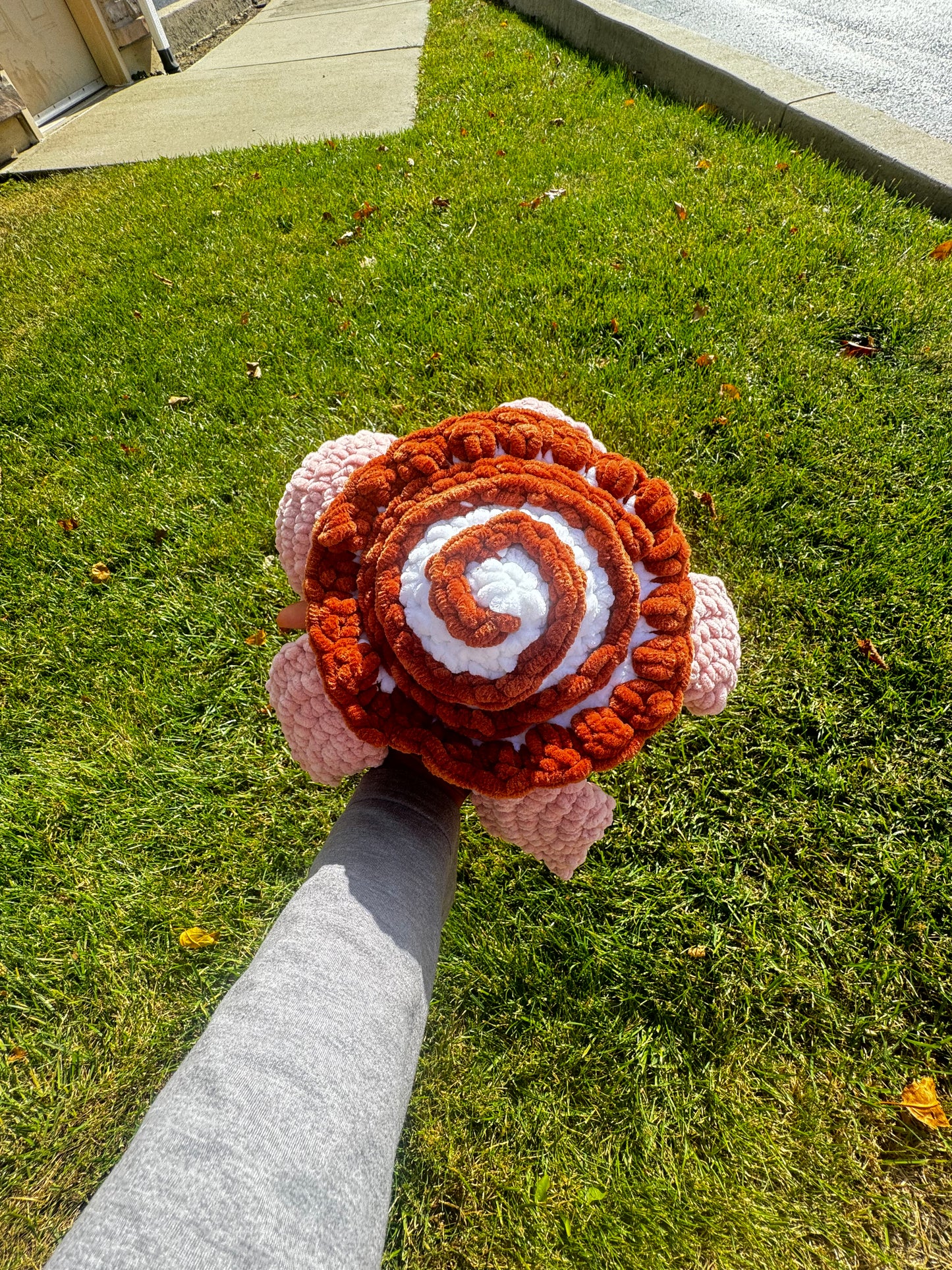 Cinnamonroll Turtle